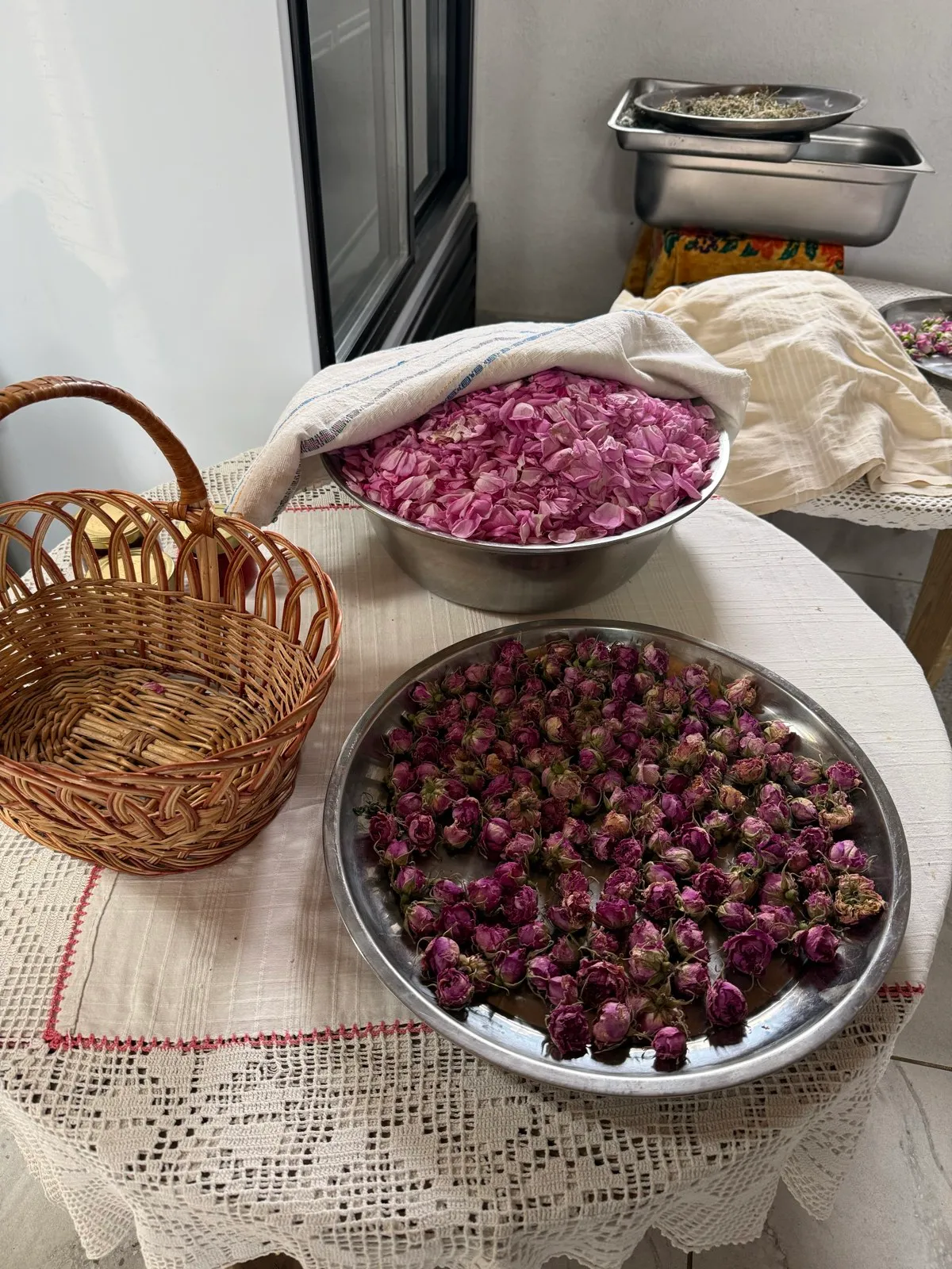 Culinary South — photo 14