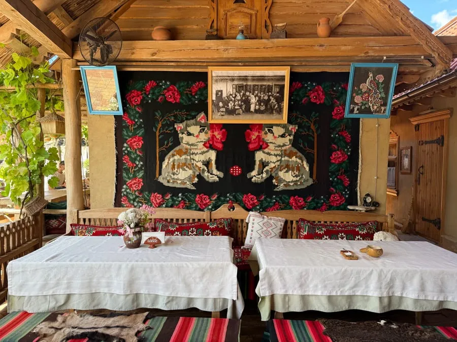 Găgăuz Sofrasi — photo 2