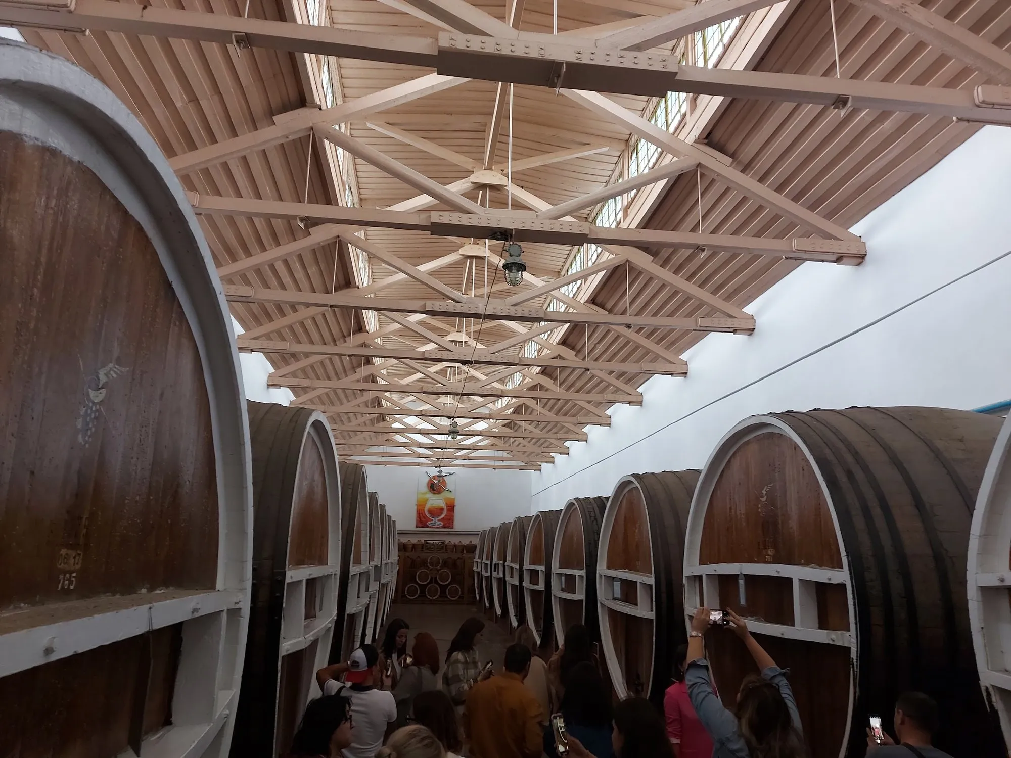 Culinary North — photo 26