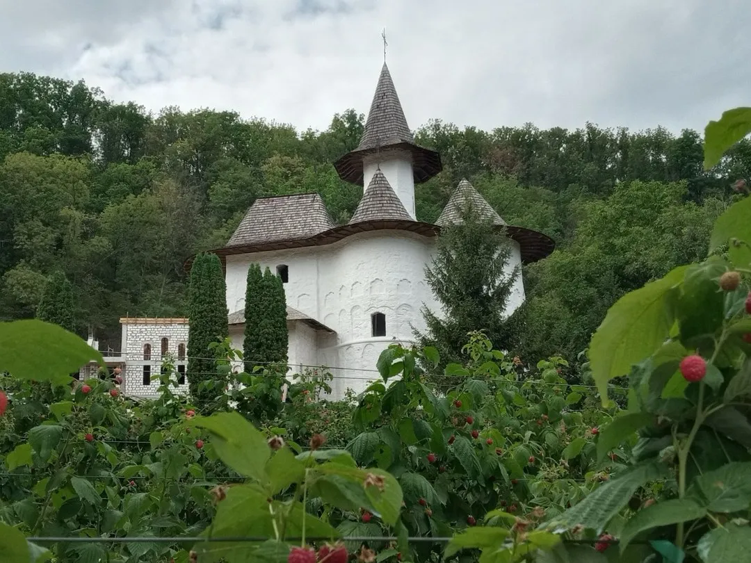 Two churches & Țaul manor