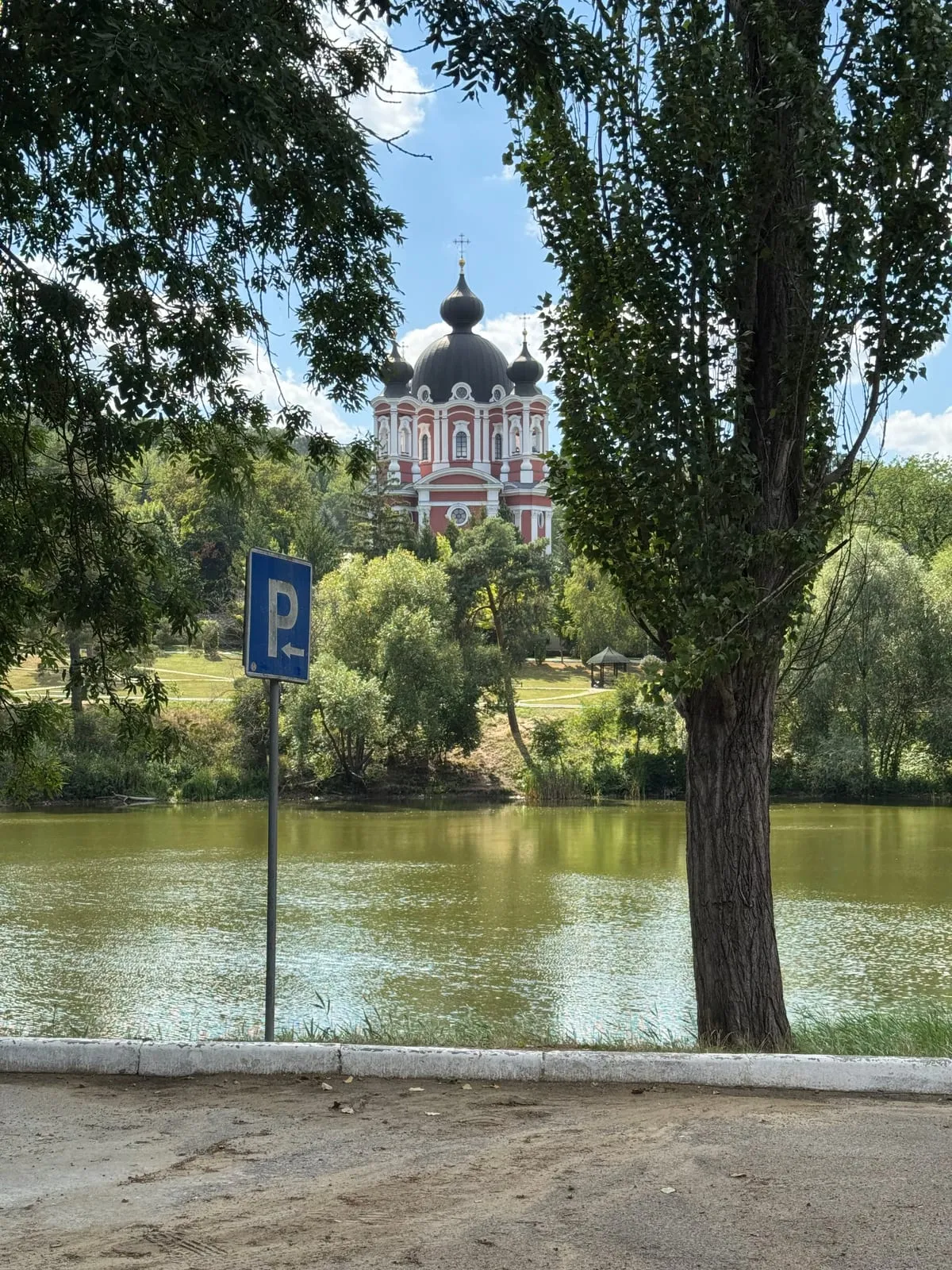 Wine Festival — photo 22