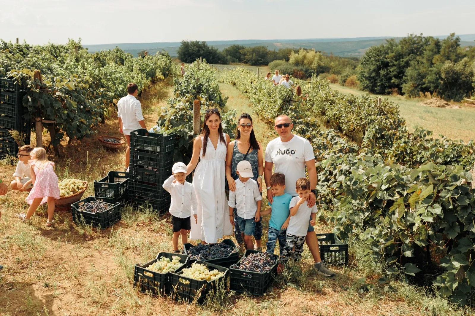 Wine Festival — photo 3