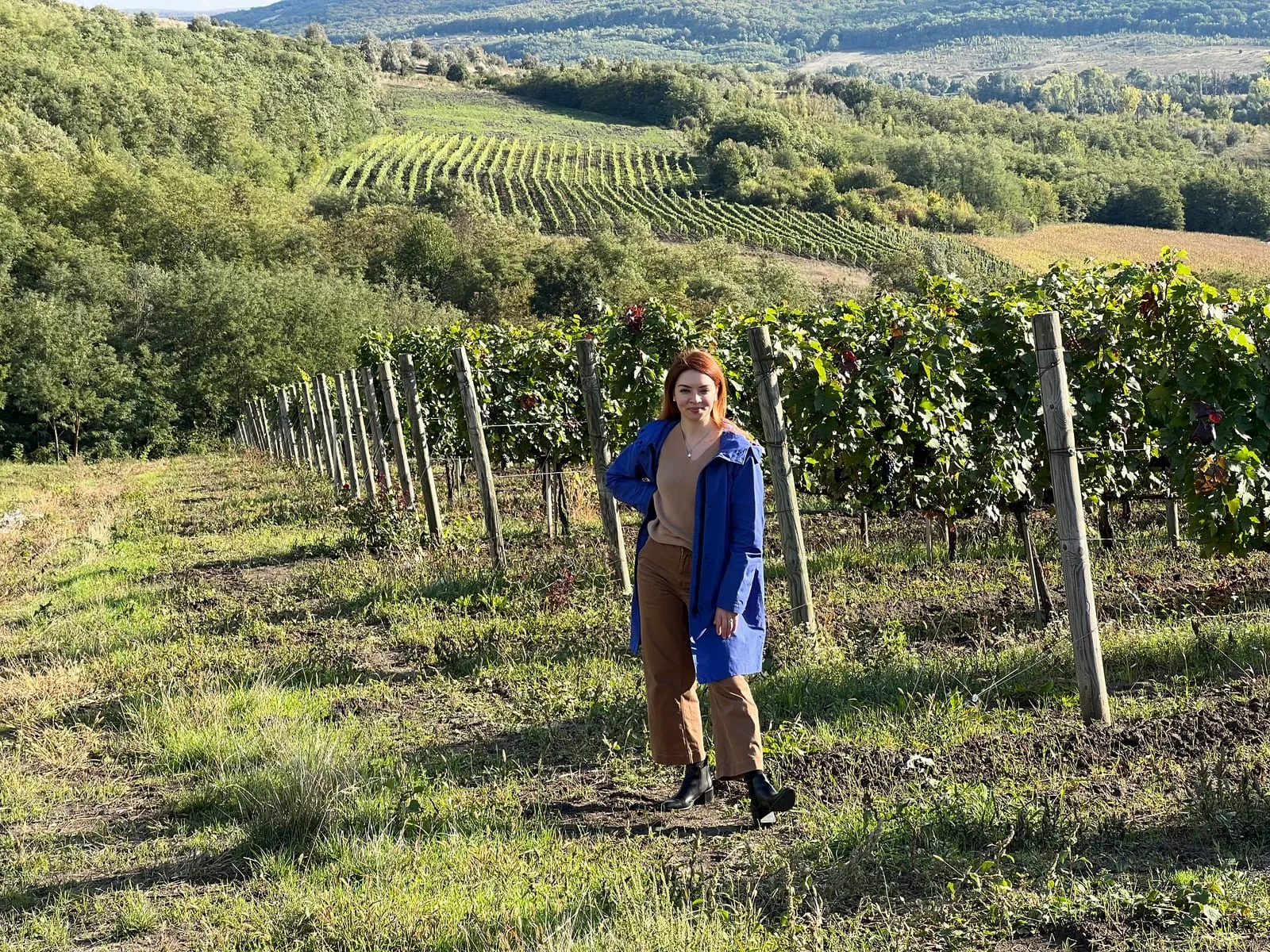 Wine Festival — photo 19